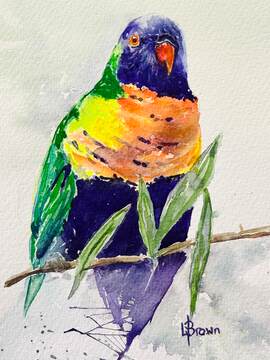 Mini Me 193 Lorikeet