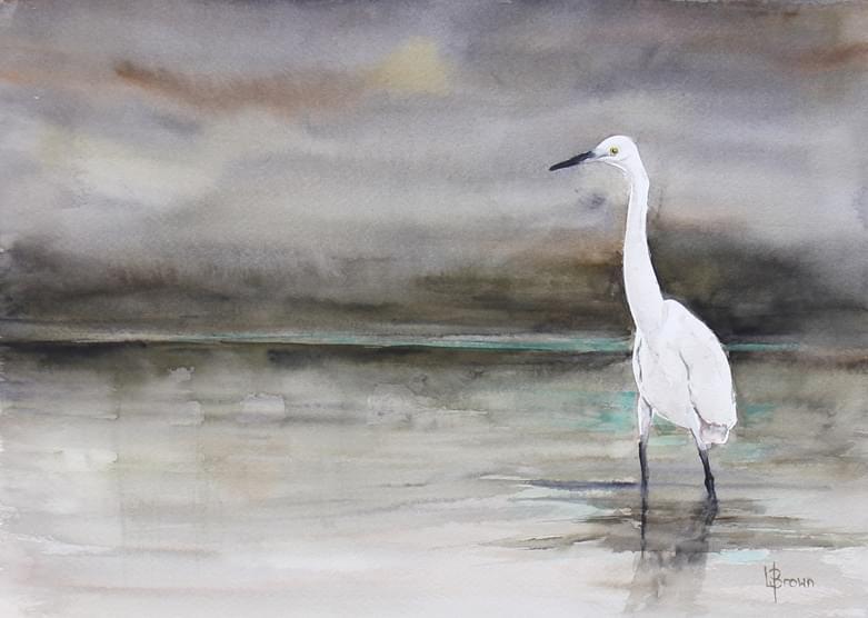 The Peaceful Shallows