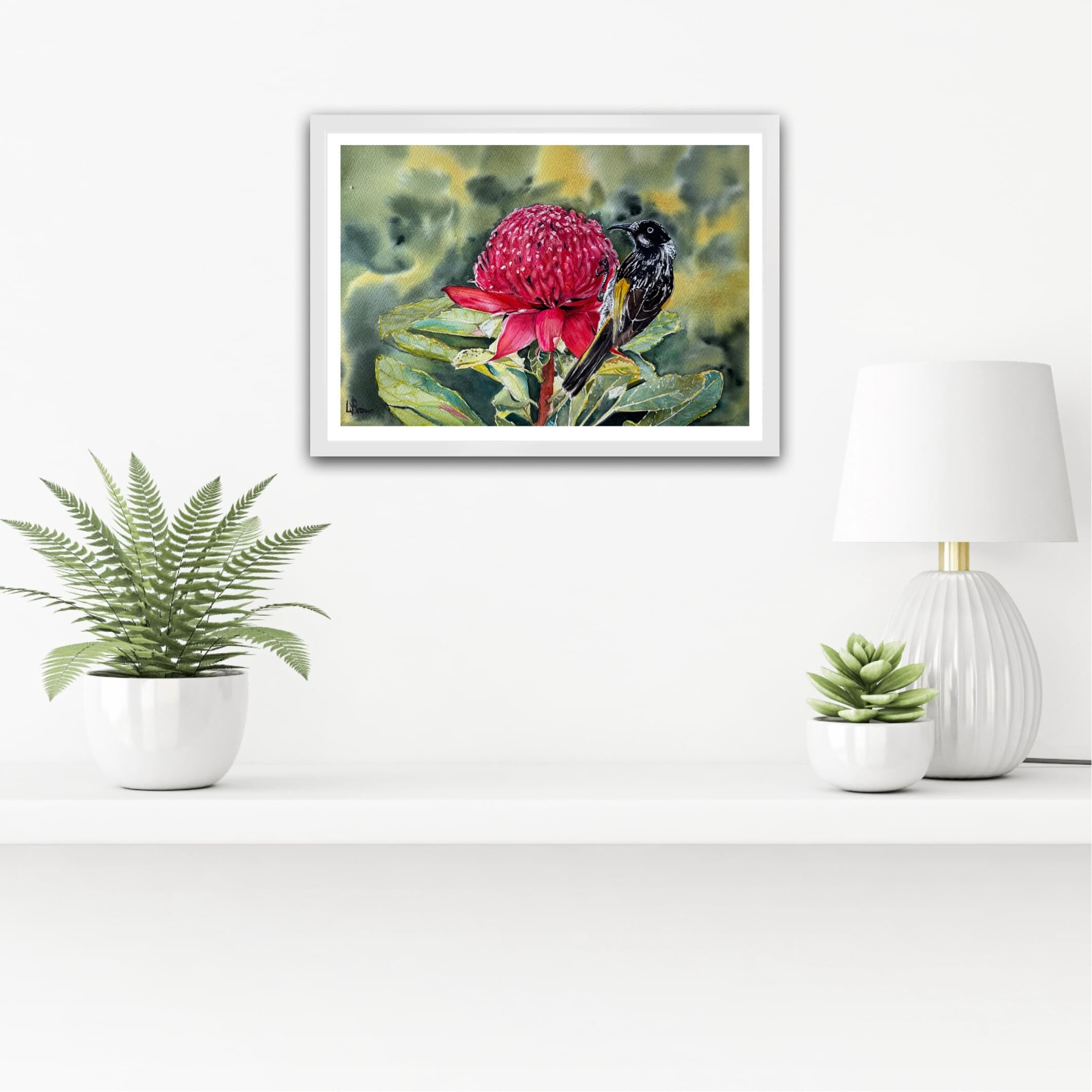 In Situ Waratah and Me