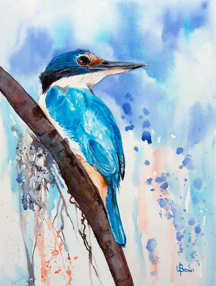 It's Me #30 - Sacred Kingfisher