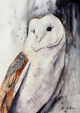 Just Me - Barn Owl