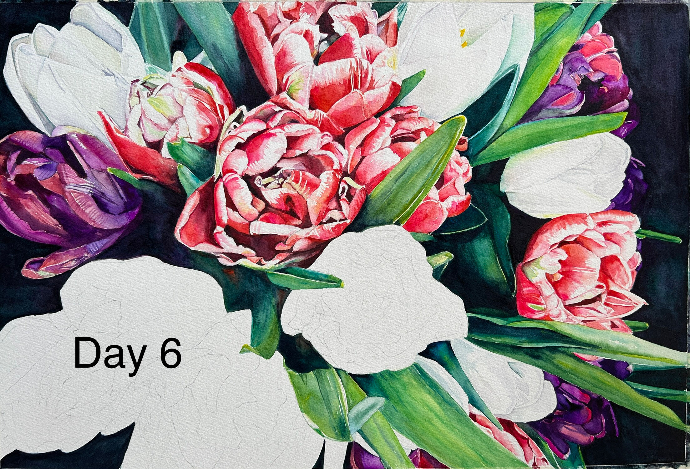 Tulips WIP 6