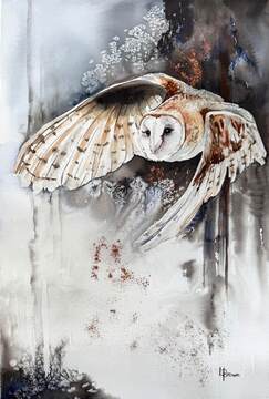 When the Night Comes