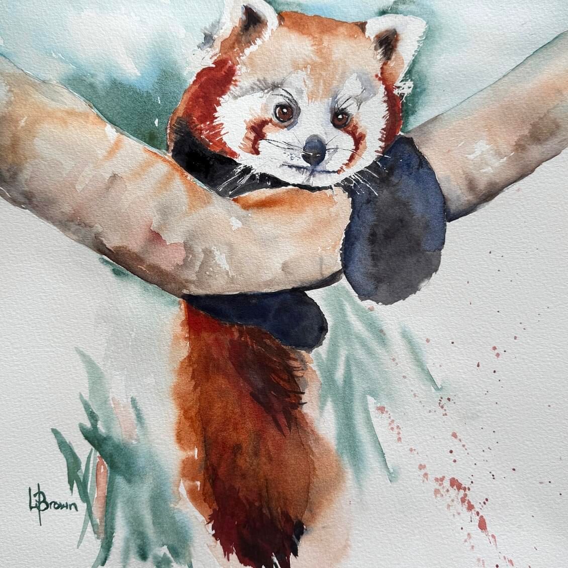 Wild Faces - Baby Red Panda