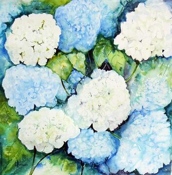 Hydrangea for Margot