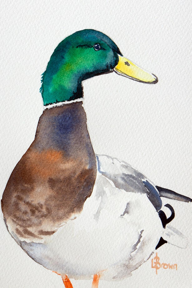 Mini Me #182 Mallard Duck