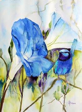 Morning Glory and Me