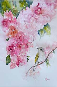 Bougainvillea and Me