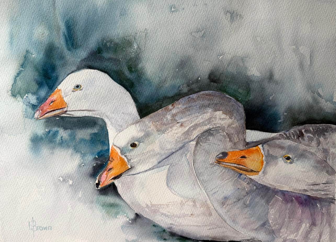 A little Gaggle