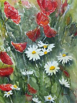 Poppies and Daisies