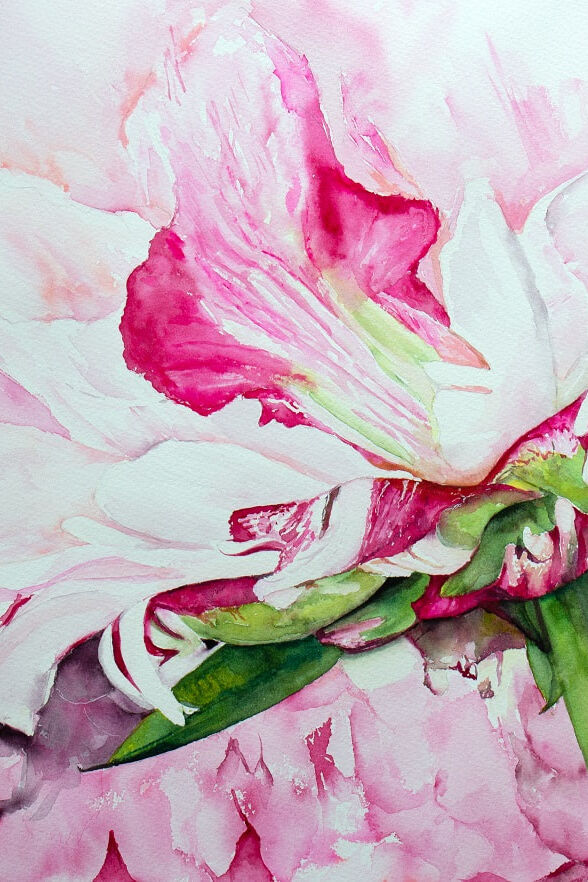 Lorraine Brown Watercolour and Mixed Media Artist