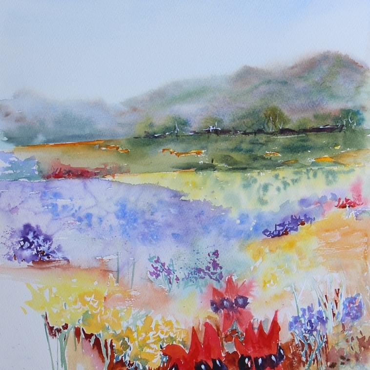 Wildflowers of the Red Earth