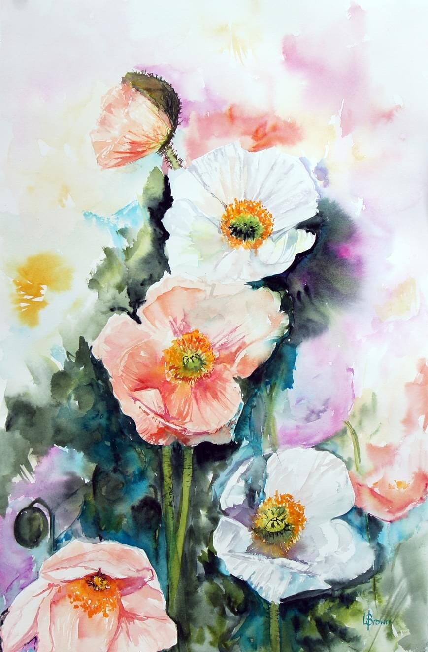 Poppies in July