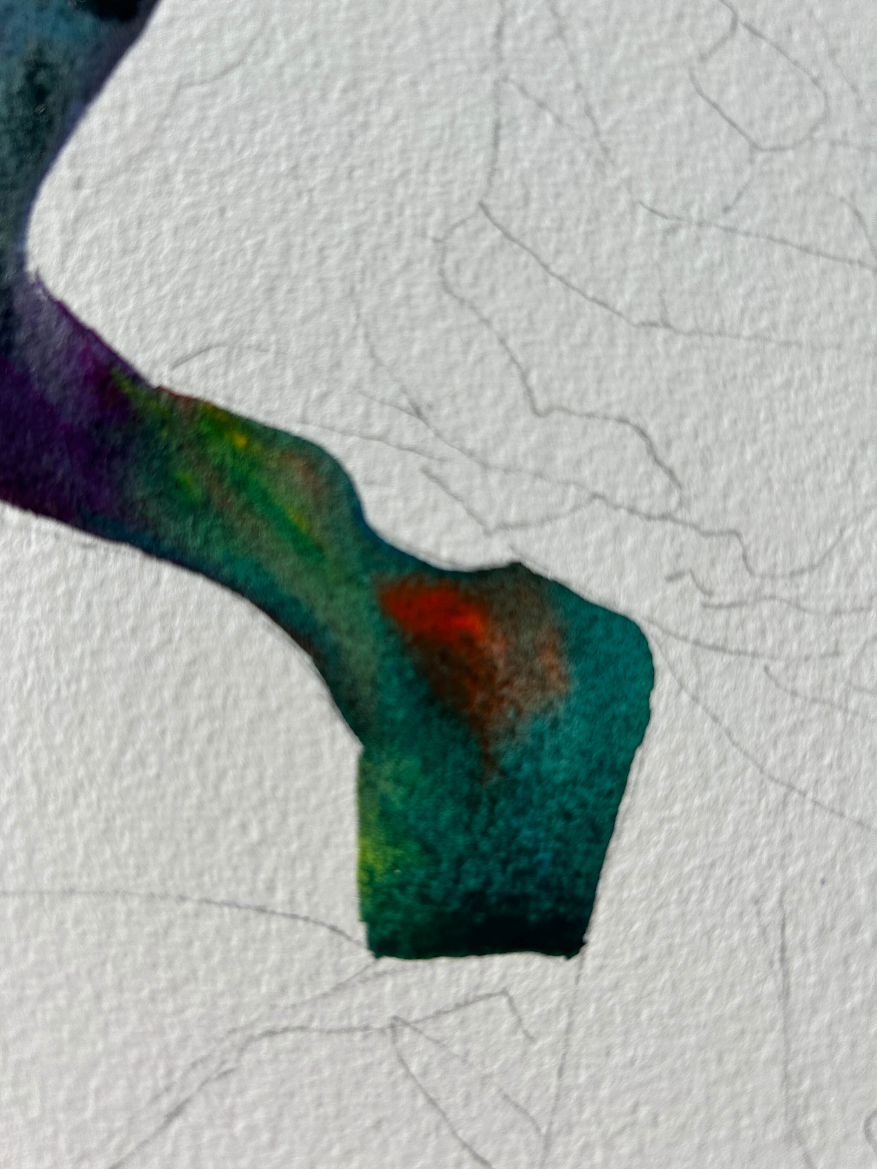 Tulips WIP focus