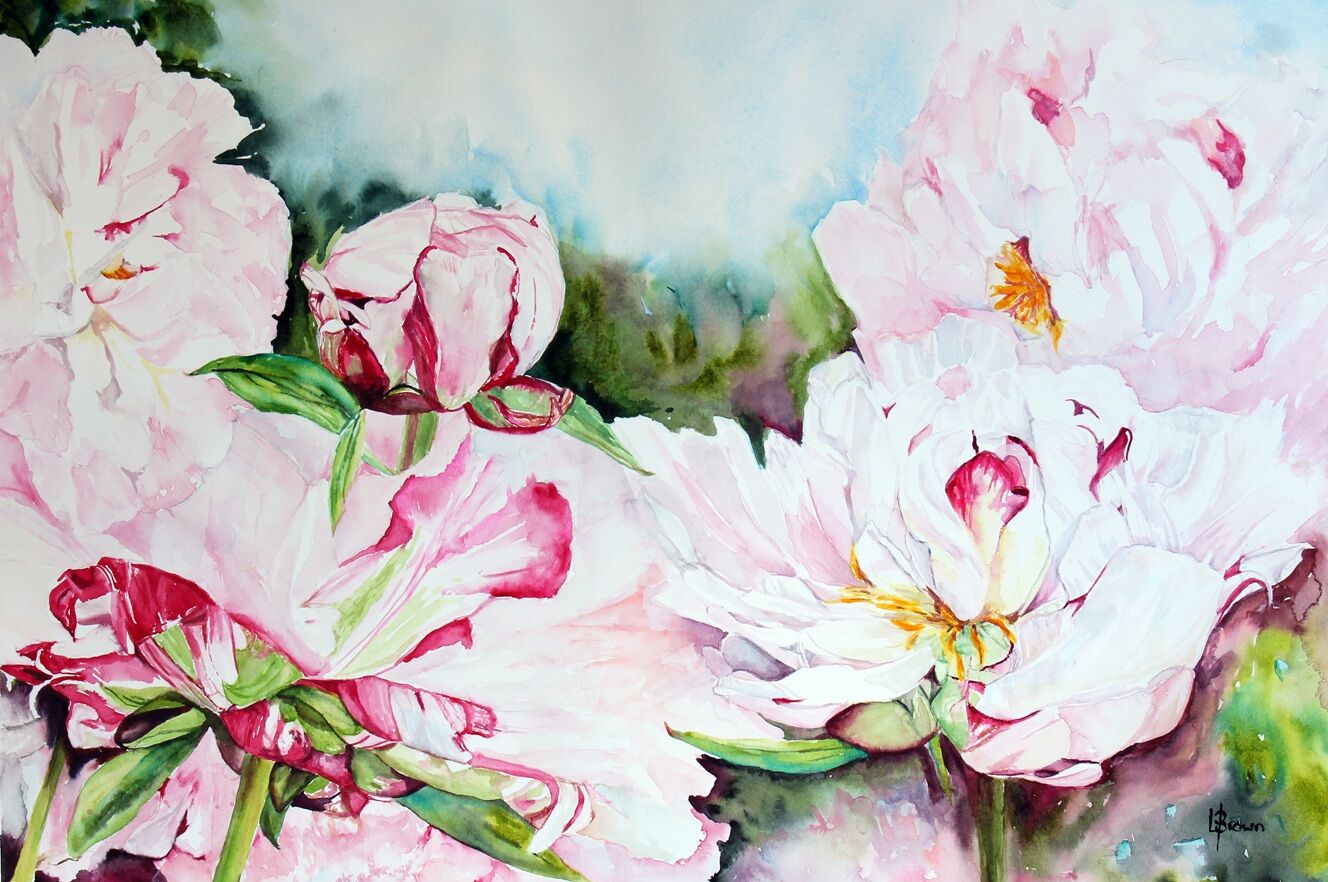 Peonies in July