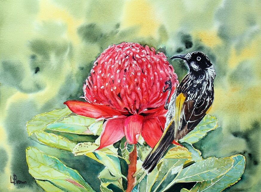 Waratah and Me