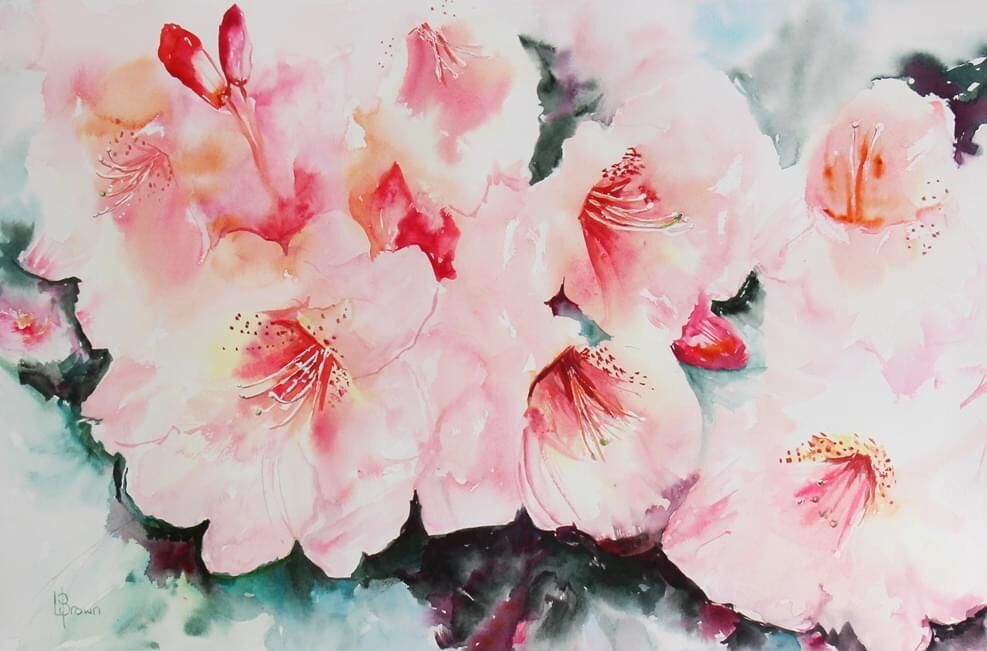 Rhododendron - Blooms #14