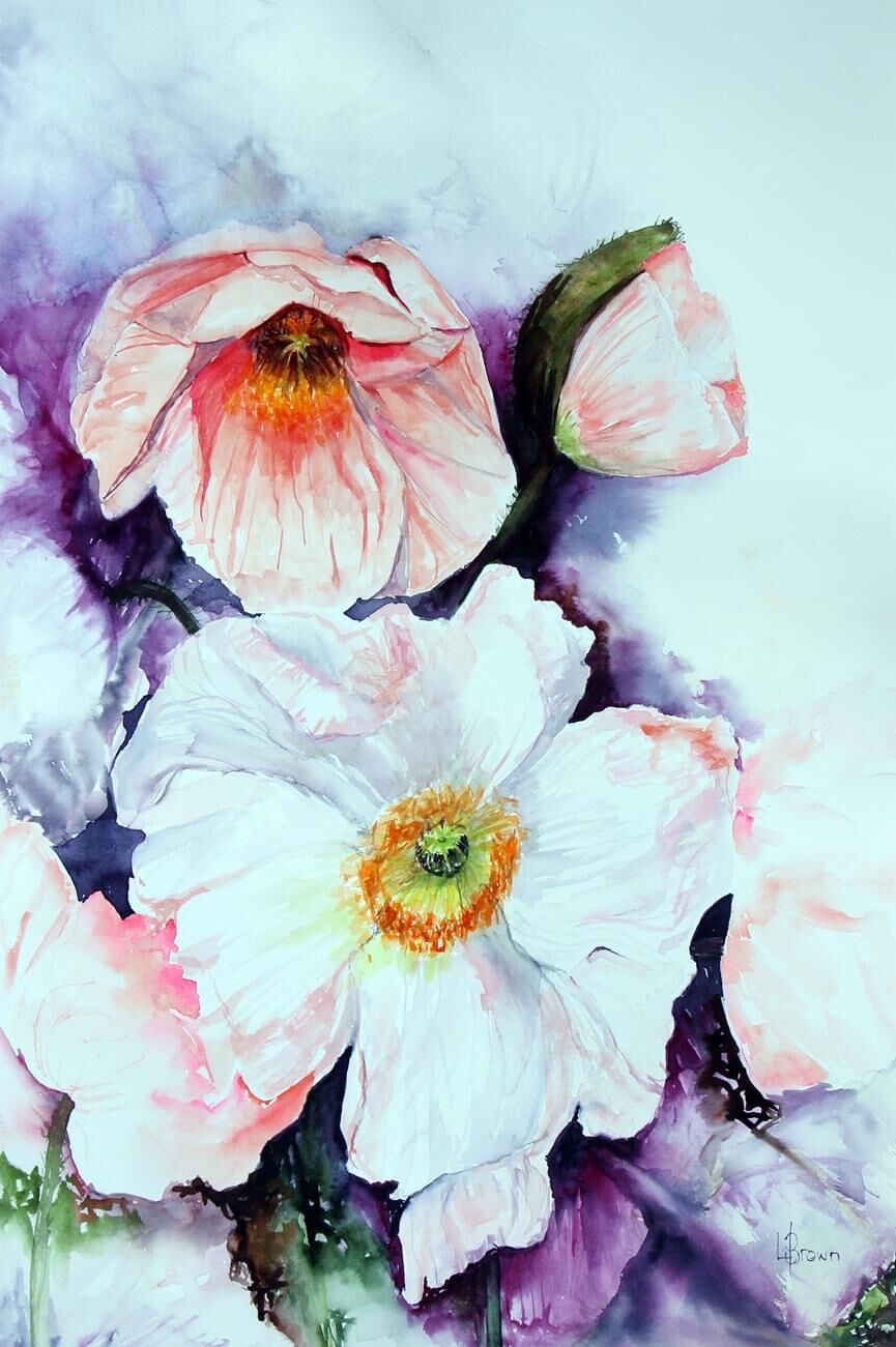 Poppies - Blooms #11